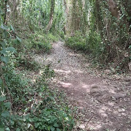Ferienhaus La Brisa