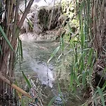 La Brisa *